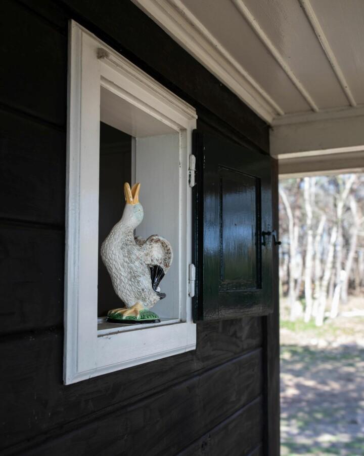 van verre Bordallo waterkan Morris eend