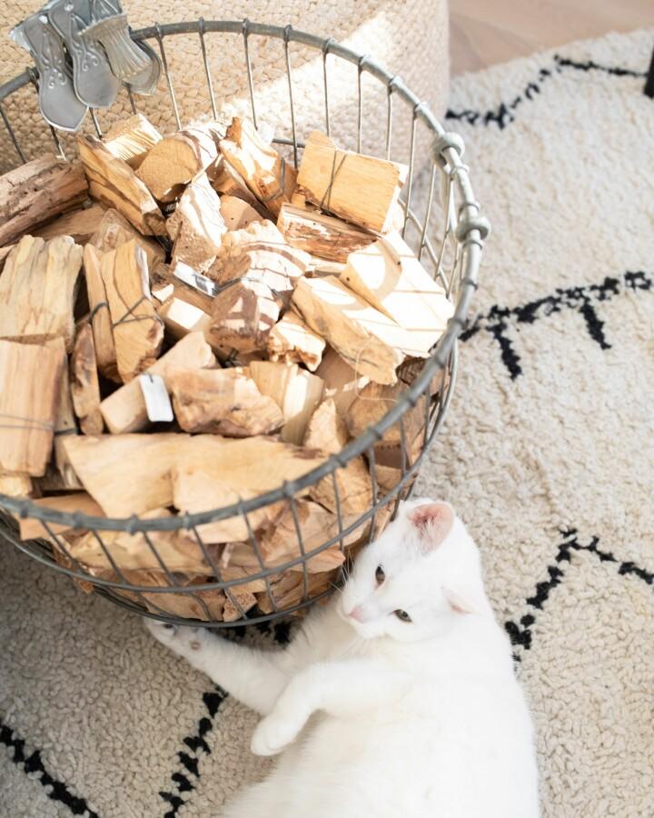 Van Verre Palo Santo Heilig Hout L