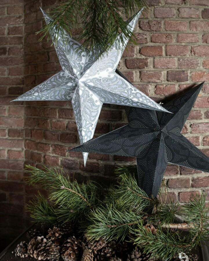 Van Verre Ster Damascus Zwart