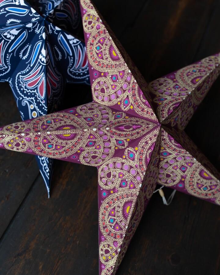 Van Verre Ster Festival Roze Klein