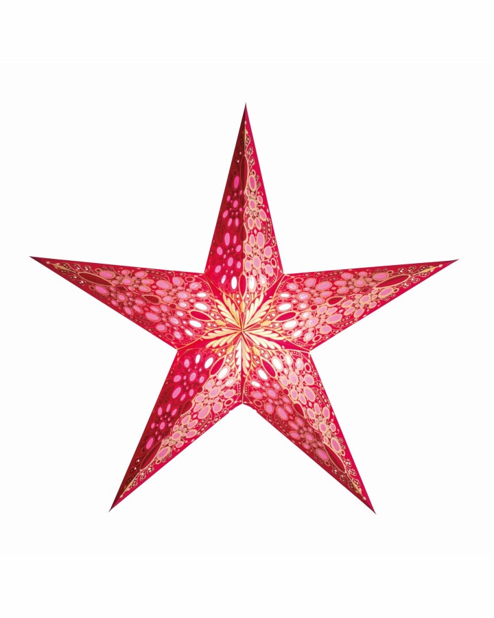 van verre Ster festival roze klein