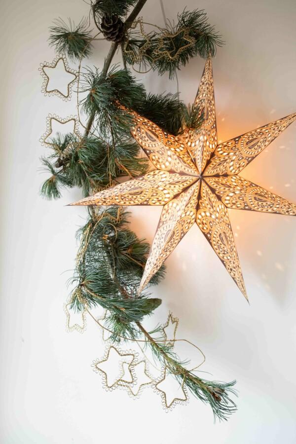 Van Verre Ster Kashmir Bruin