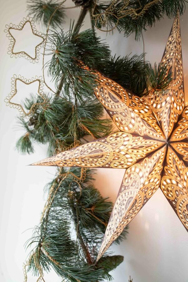 van verre Ster kashmir bruin