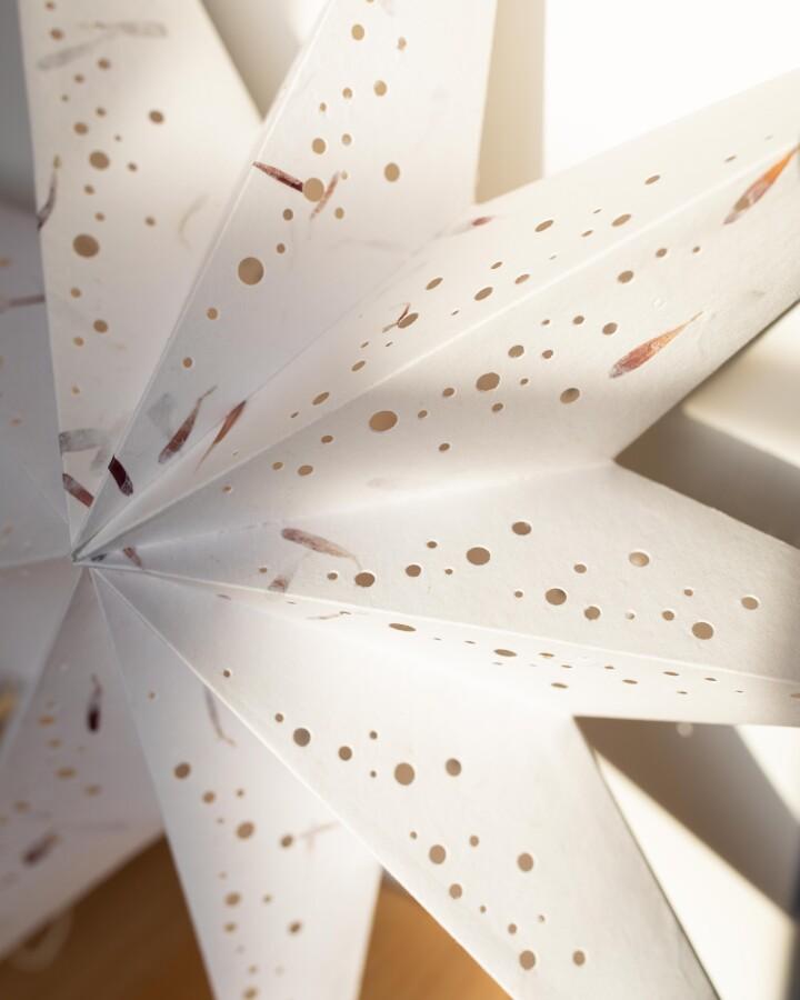 Van Verre Ster Spumante M Wit