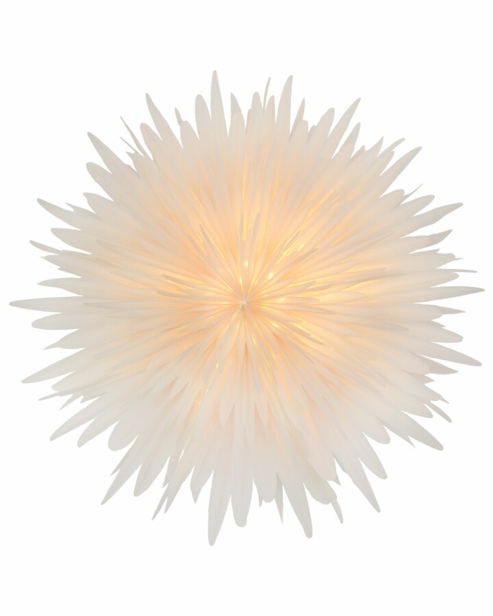 Van Verre Ster Stella Dalia