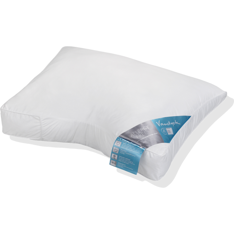 vandyck ALLERGY FREE MEDIUM kussen | Comforel Allerban zacht