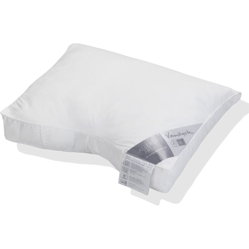vandyck ALLERGY FREE ZACHT kussen | Comforel Cocoon Eco2 zacht