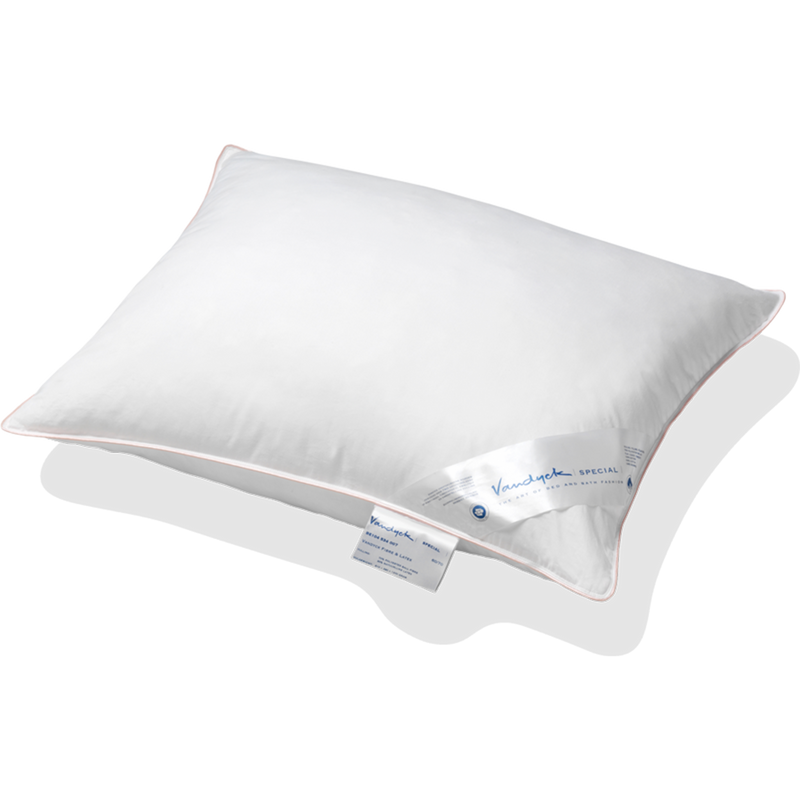 vandyck HOOFDKUSSEN spec. | cr.lat. zalm stevig en vormvast