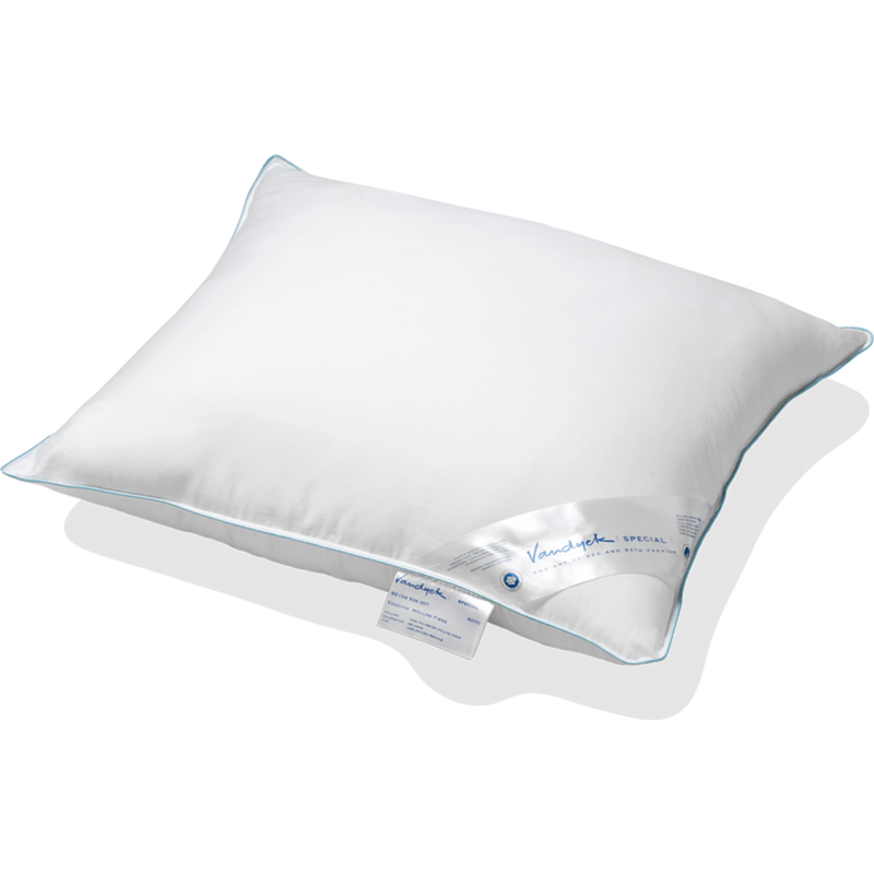 vandyck HOOFDKUSSEN spec. | h.fibre blue stevig en vormvast