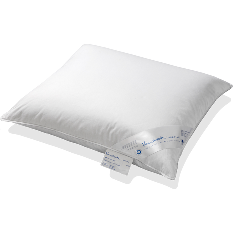 vandyck HOOFDKUSSEN spec. | kapok silver stevig en vormvast