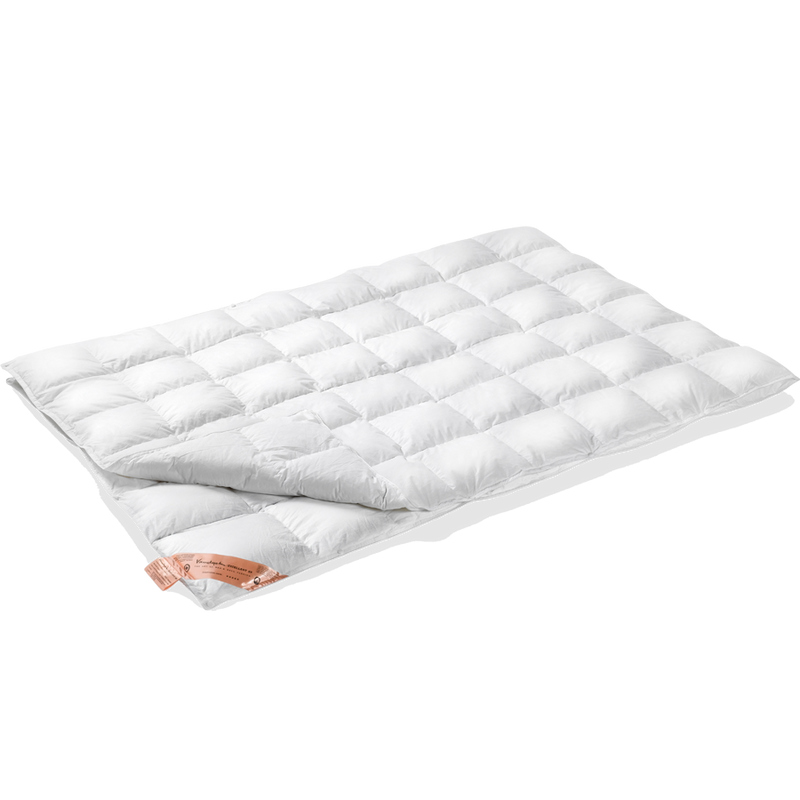 vandyck EXCELLENT XL | EXCELLENT DUO