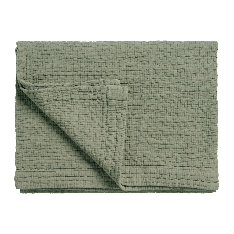 vandyck PURE 82 G.DYED | thyme