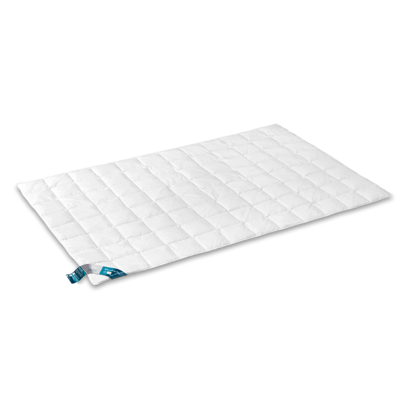 vandyck VANDYCK 95 SUMMER XL | SUMMER SPEC