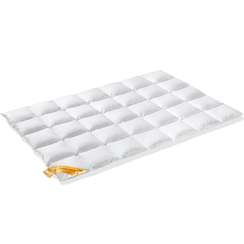 vandyck VANDYCK ASTRO XL DEKBED | ASTRO 90