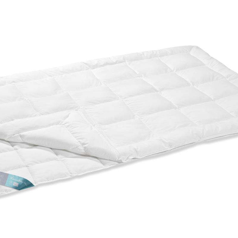 vandyck VANDYCK THERMO | DUO