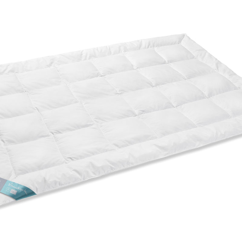 vandyck VANDYCK THERMO | SOLO