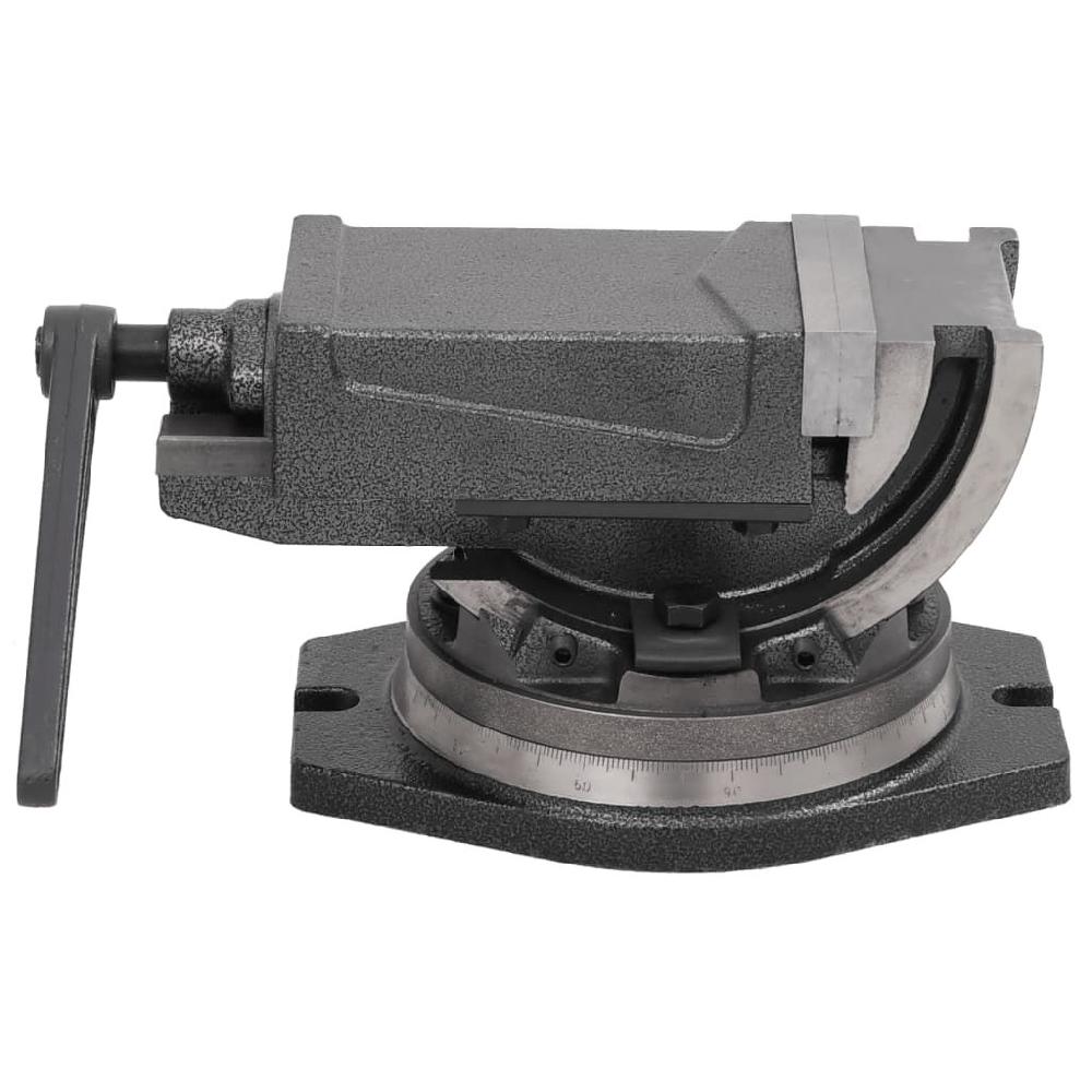 Vidaxl VidaXL Bankschroef Met 2 Assen Kantelbaar 100 Mm