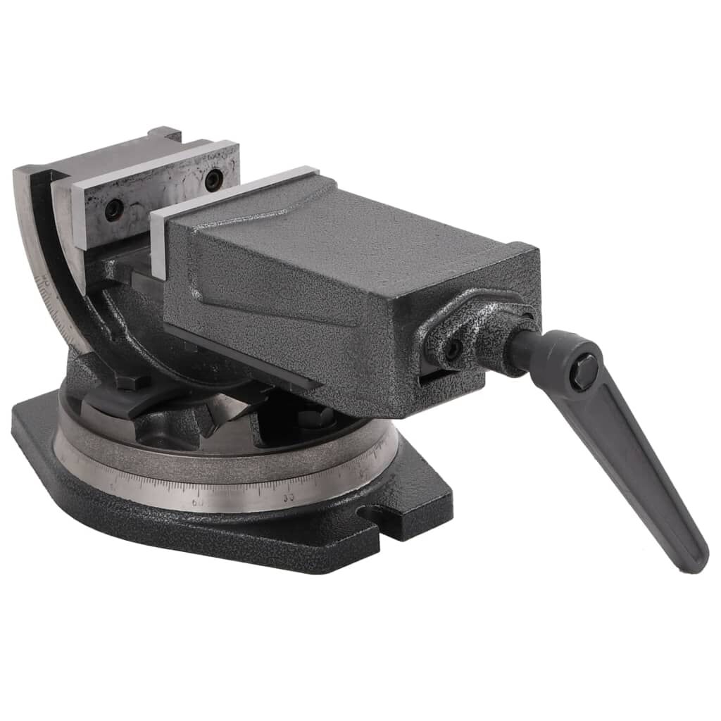 Vidaxl VidaXL Bankschroef Met 2 Assen Kantelbaar 100 Mm