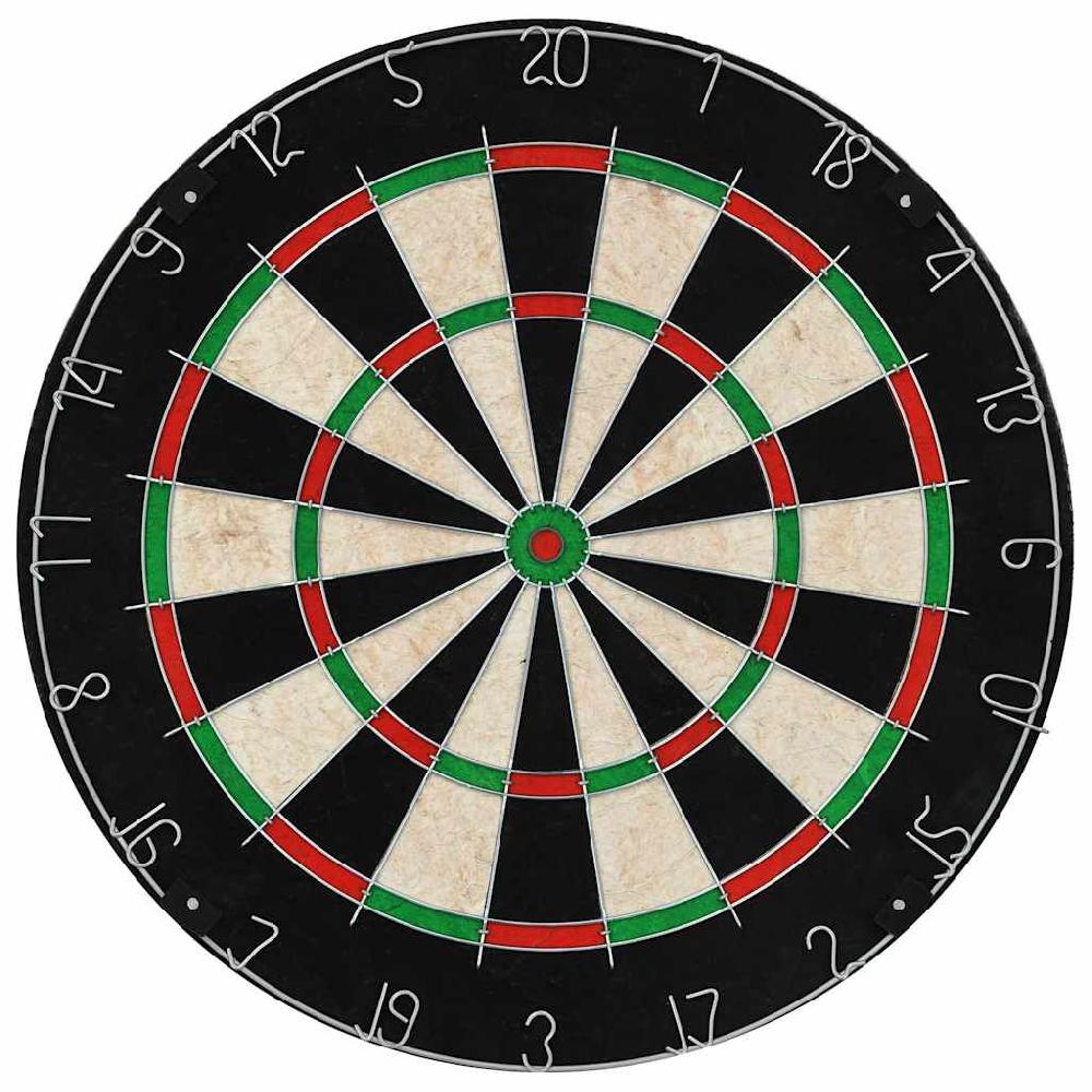 Vidaxl VidaXL Dartbord Professioneel Met 6 Darts En Surround Sisal