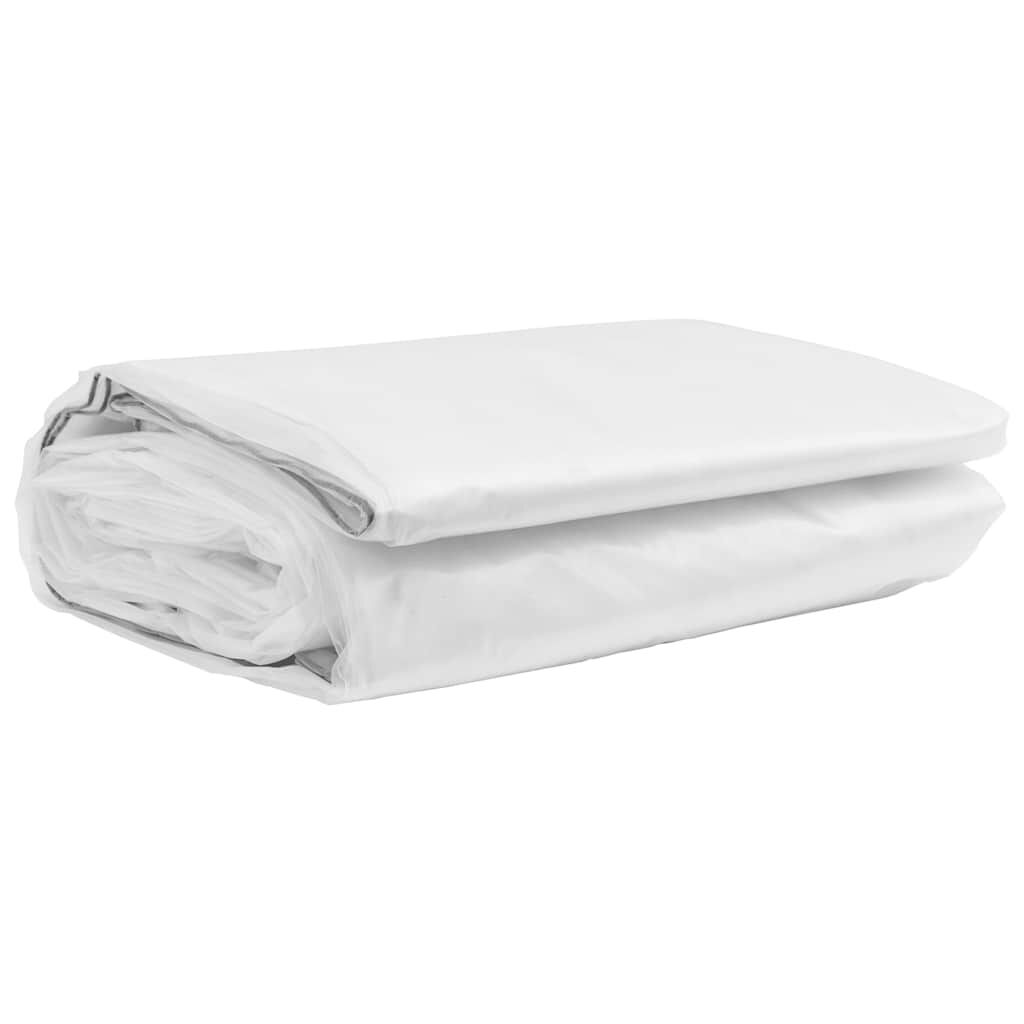 Vidaxl VidaXL Doorzichtig Zeildoek Met Zeilringen 1x10 M Polyethyleen