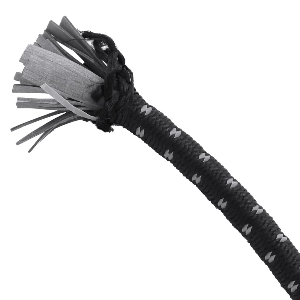 Vidaxl VidaXL Spanelastieken Met Reflecterende Strips En Haken 10 Stuks 38 Cm