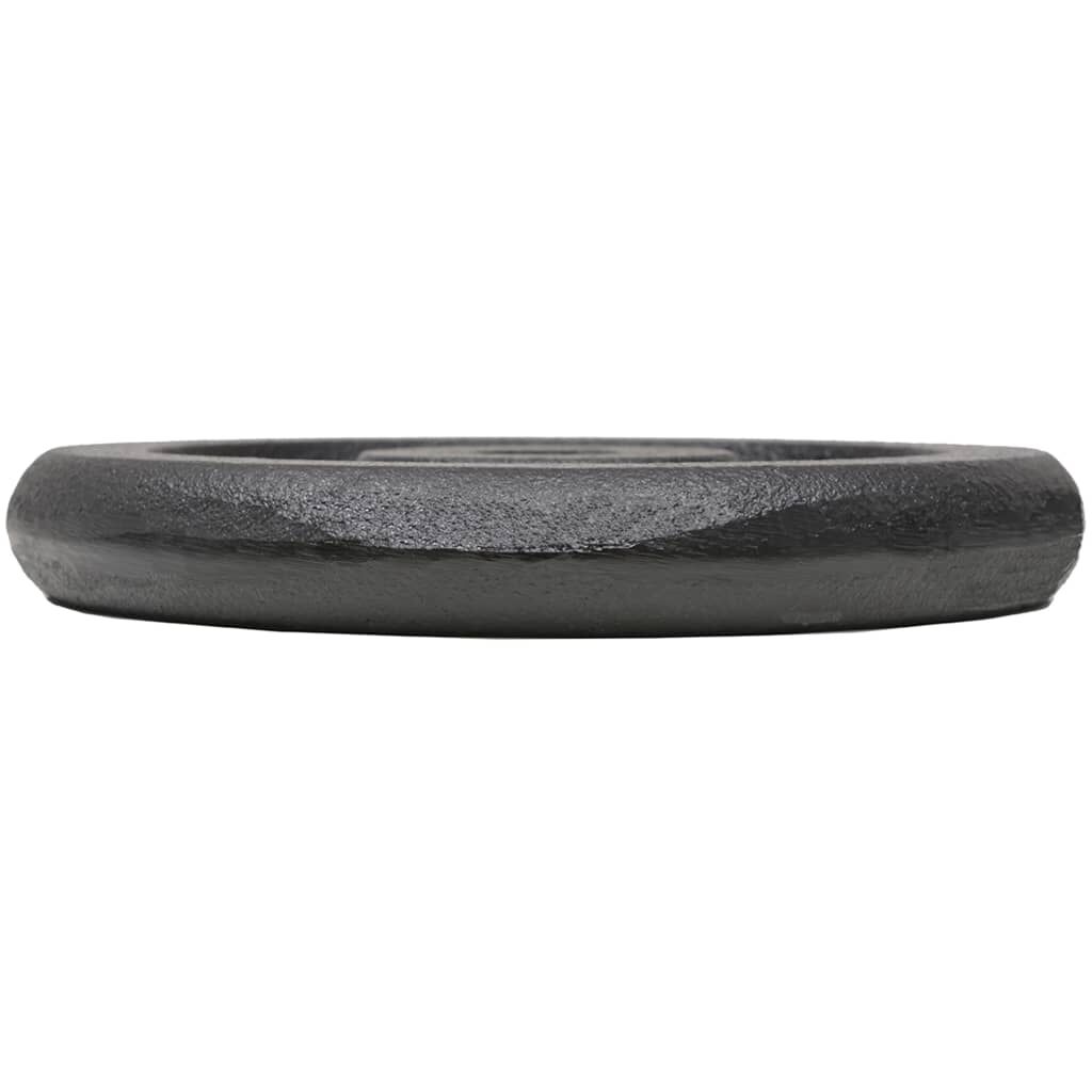 Vidaxl VidaXL Halterschijven 4 St 4x5 Kg Gietijzer