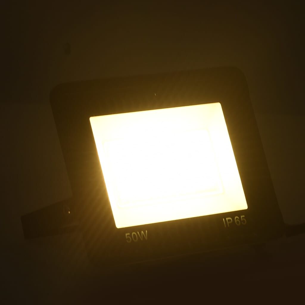 Vidaxl VidaXL Spotlights 2 St LED 50 W Warmwit