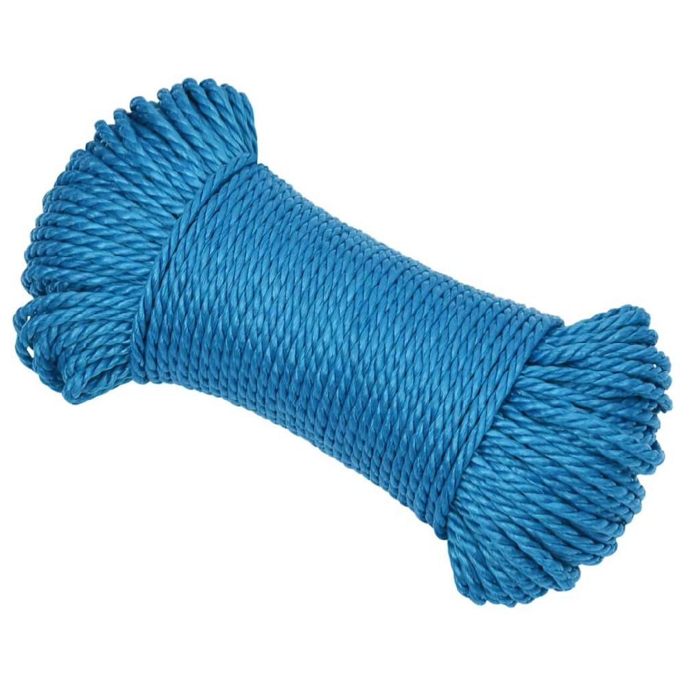 Vidaxl VidaXL Werktouw 3 Mm 25 M Polypropeen Blauw