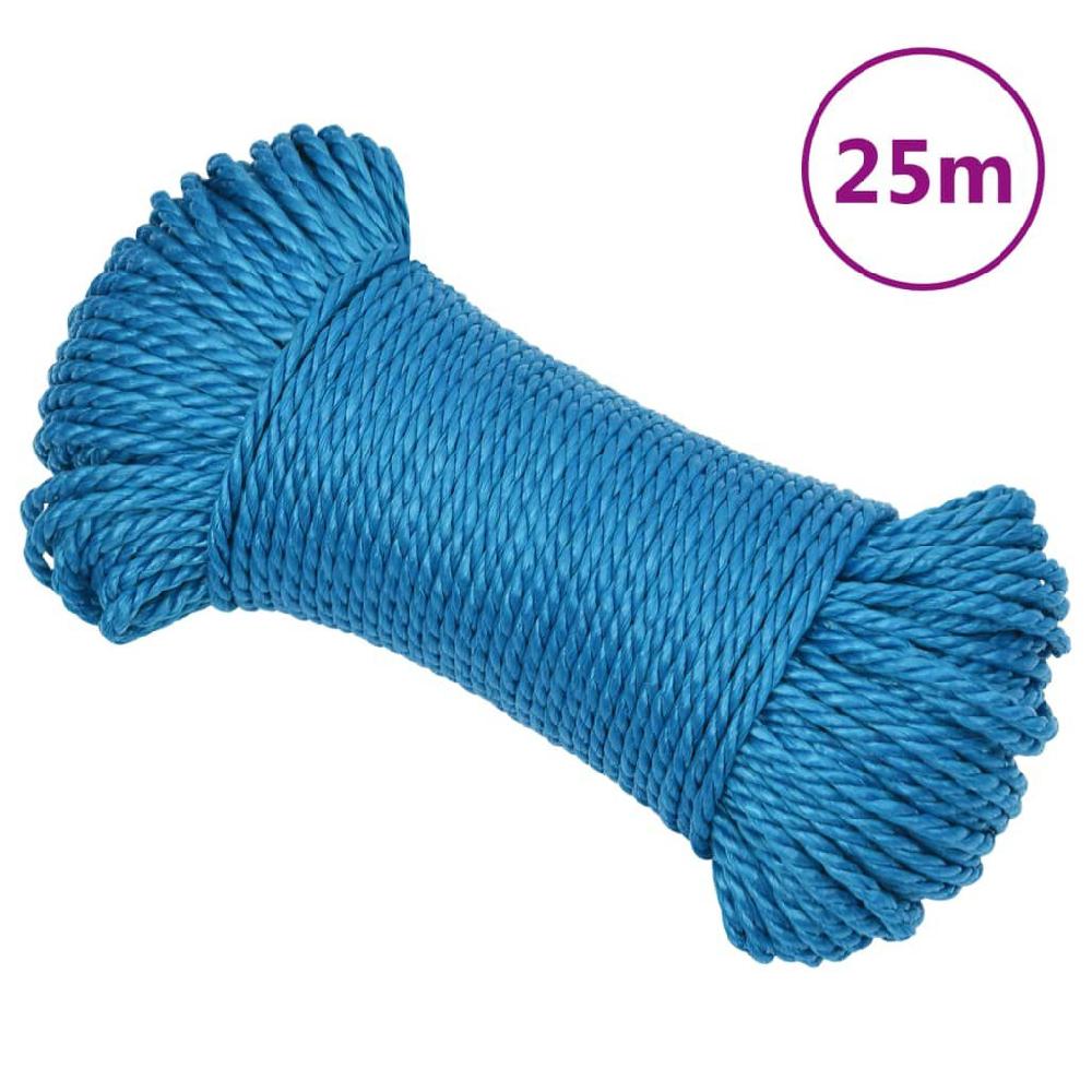 vidaxl vidaXL Werktouw 3 mm 25 m polypropeen blauw