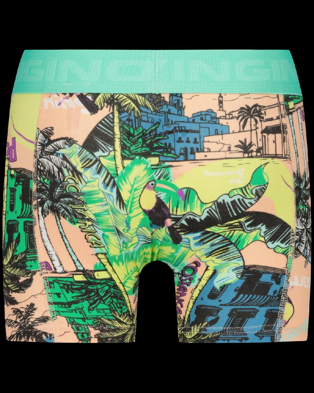 Vingino Boxer B251 Leaves 3-pack