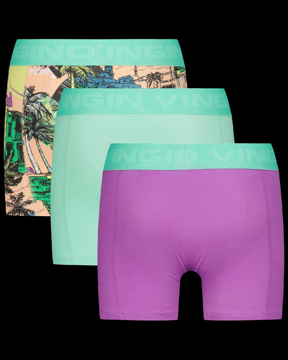 vingino Boxer B251 leaves 3-pack