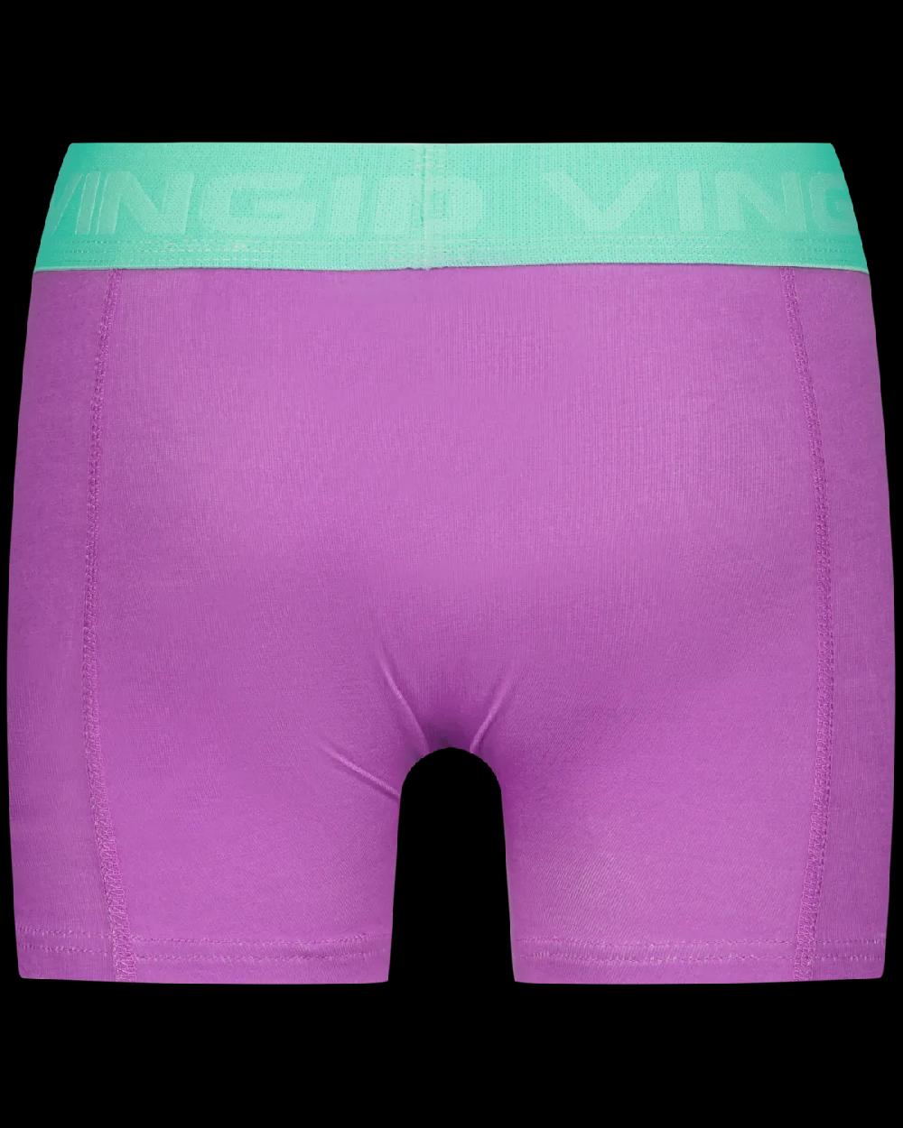 Vingino Boxer B251 Mixed Cuba 3-pack