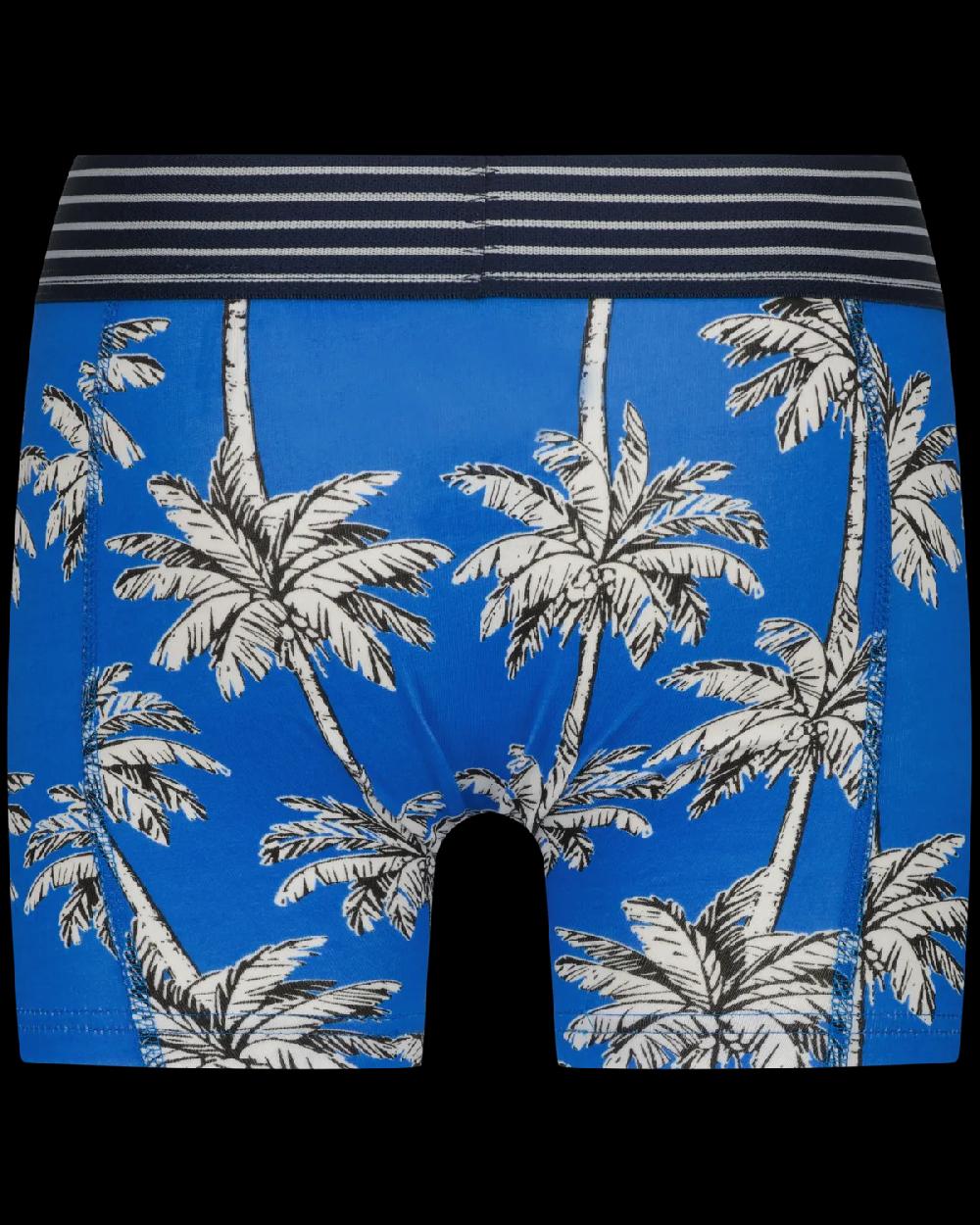 Vingino Boxer B251 Palm 7-pack