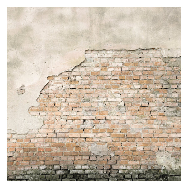 vtwonen Art for the Home Bakstenen Muur Dublin Fotobehang 300x300 cm