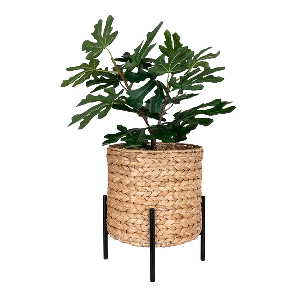 Vtwonen Artichok Line Waterhyacint Bloempot - Ø23 5 X 28 Cm