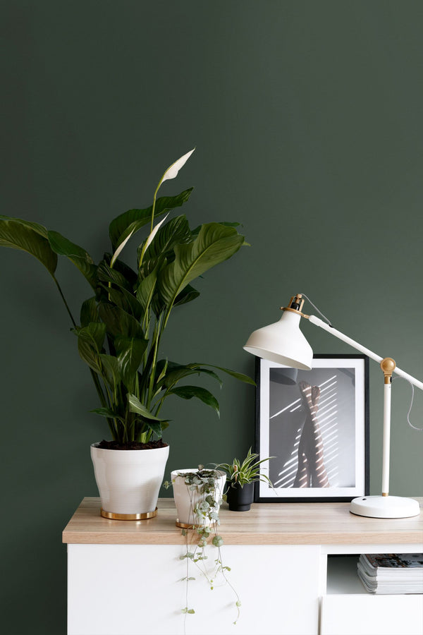 Vtwonen ESTAhome Muurverf Mat Donkergroen - 2L - 191006