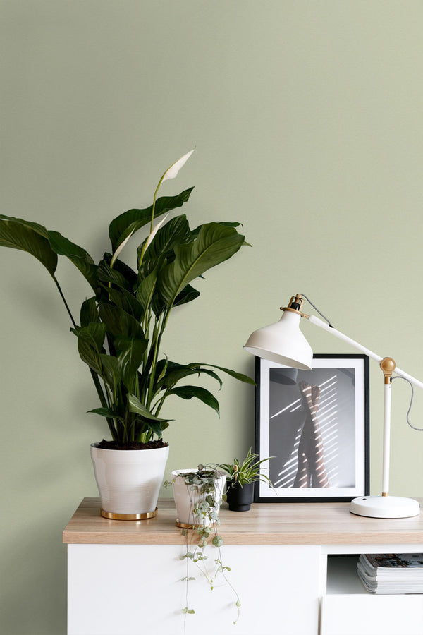 Vtwonen ESTAhome Muurverf Mat Licht Vergrijsd Groen - 2L - 191020