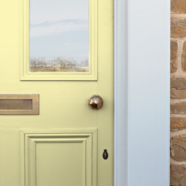 Vtwonen Graham & Brown Zijdeglanslak Voor Buiten Doris 1L