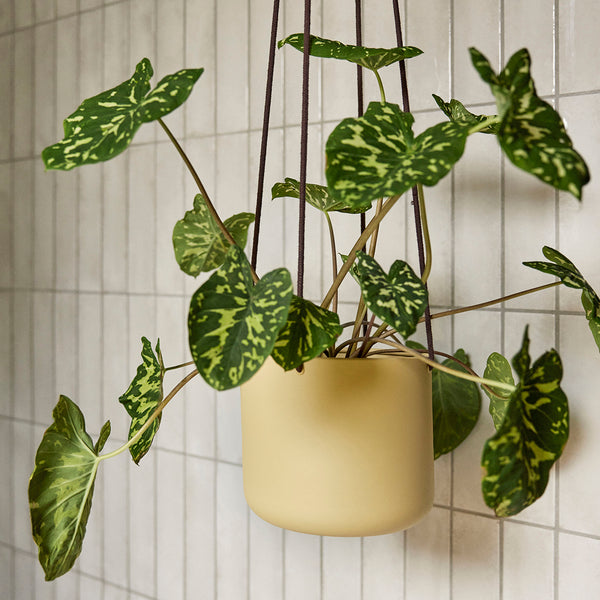 Vtwonen Hübsch Hangende Potten Bloom - Katoen/ijzer - ø17xh16 ø21xh20 ø25xh24cm