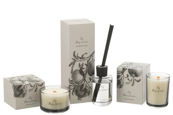 Vtwonen J-Line Geurolie + Stokjes Walk In The Woods - Vijgen Bessen Bladeren - Zwart - 180 Ml