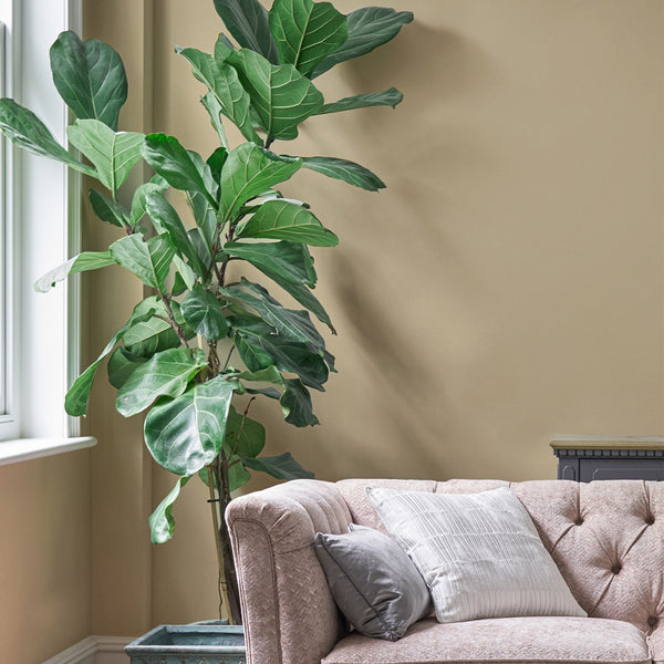 Vtwonen Laura Ashley Pale Gold Muurverf - 2 5 Liter - Geel - Mat