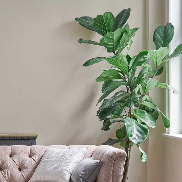 Vtwonen Laura Ashley Soft Natural Muurverf - 2 5 Liter - Beige - Mat