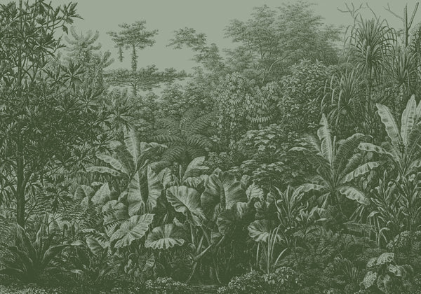 Vtwonen LOOKS By Wolfgang Joop Fotobehang Regenwoud 270x350cm