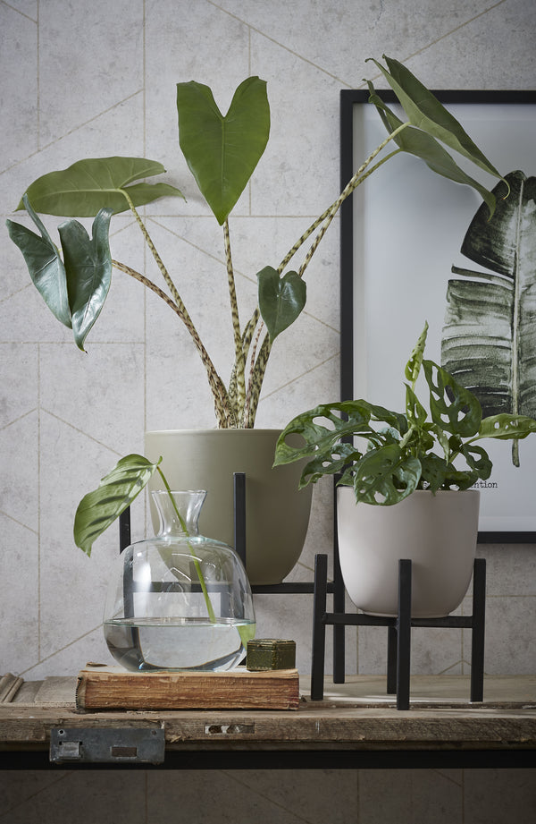 Vtwonen Mica Decorations Ascot Plantenstandaard - L24 X B24 X H25 Cm - Metaal - Zwart