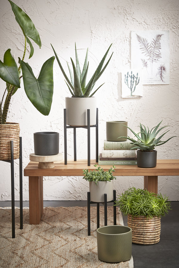 Vtwonen Mica Decorations Ascot Plantenstandaard - L24 X B24 X H55 Cm - Metaal - Zwart