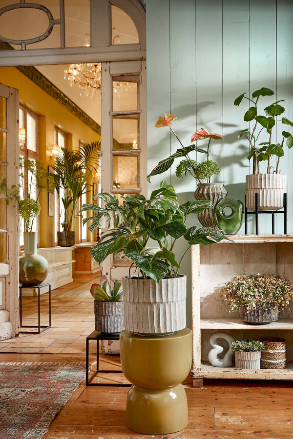 Vtwonen Mica Decorations Ascot Plantenstandaard XL - L34 X B34 X H50 Cm - Metaal - Zwart