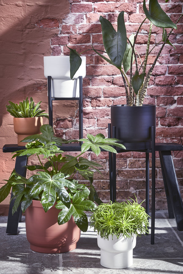 Vtwonen Mica Decorations Ascot Plantenstandaard XL - L38 X B38 X H71 Cm - Metaal - Zwart