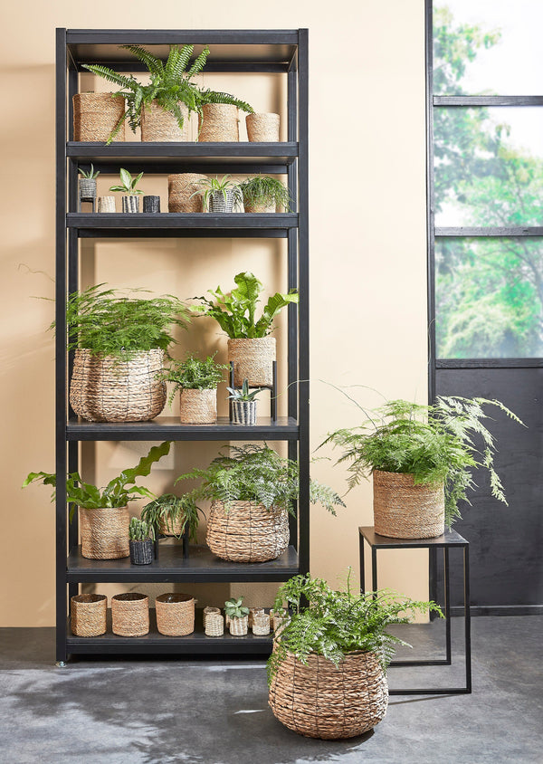 Vtwonen Mica Decorations Ascot Plantenstandaard XL - L38 X B38 X H40cm - Metaal - Zwart