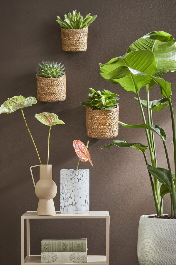 Vtwonen Mica Decorations Atlantic Hangende Bloempot - Set Van 3 - H16 X Ø16 Cm - Lichtbruin