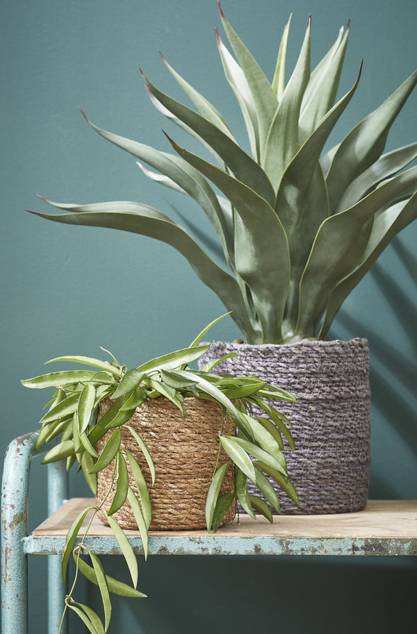 Vtwonen Mica Decorations Atlantic Plantenmand - Set Van 3 - H16 X Ø16 Cm - Zeegras - Lichtbruin